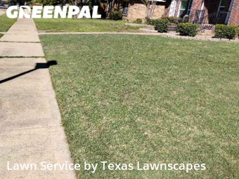 Grass Cut nearby The Colony, TX, 