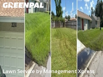 Lawn Cut nearby Port Charlotte, FL, 
