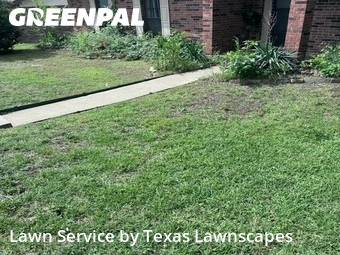 Grass Cutting nearby The Colony, TX, 