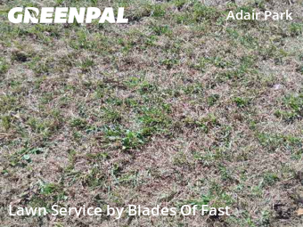 Landscape Design In Atlanta,30310,Landscaping Installation by Blades Of Fast, work completed in Nov , 2025