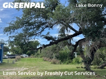 Lawn Mow nearby Lakeland, FL, 