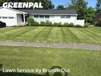 Lawn Care Service nearby Lake View, NY, 