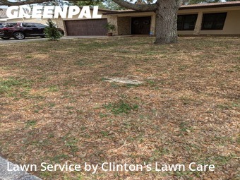 Lawn Care nearby St. Petersburg, FL, 