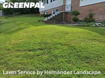 Grass Cut nearby Springfield Township, PA, 