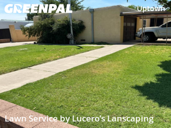 Affordable Landscaping Maintenance Services In Albuquerque,87110,Landscaping Services by Lucero’s Lanscaping, work completed in Nov , 2025