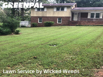 Grass Cut nearby Macon Bibb County, GA, 