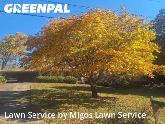 Lawn Cuttingin Smyrna,30082,Lawn Mow by Migos Lawn Service, work completed in Nov , 2025