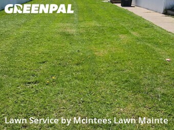 Lawn Care nearby Romulus, MI, 