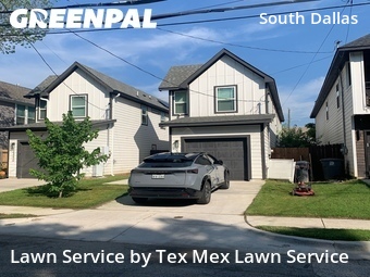 Grass Cut nearby Dallas, TX, 