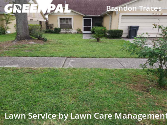 Grass Cut nearby Brandon, FL, 