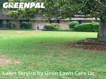 Lawn Maintenance nearby Central, LA, 