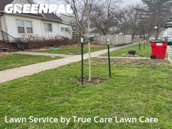 Lawn Mowing Service nearby Champaign, IL, 