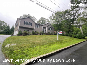 Lawn Cutting in New Haven, 6515, Lawn Work by Quality Lawn Care, work completed in Nov , 2025