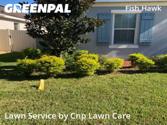 Grass Care in Fish Hawk, 33547, Grass Care by Cnp Lawn Care, work completed in Nov , 2025