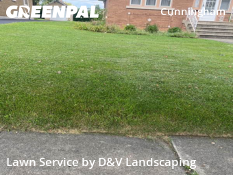Yard Mowingin Joliet,60435,Lawn Mowing by D&V Landscaping , work completed in Nov , 2025