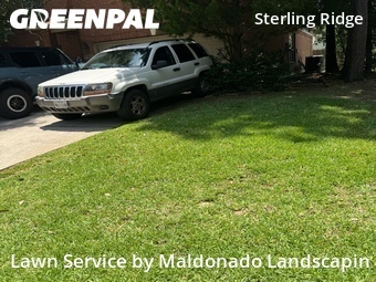 Lawn Care nearby The Woodlands, TX, 