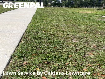 Lawn Mowing Service nearby Davie, FL, 