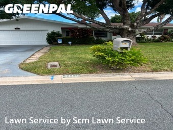 Lawn Mowing Service nearby Dunedin, FL, 