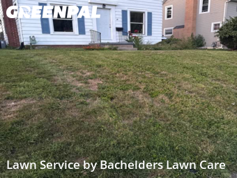 Lawn Mowing nearby Mansfield, OH, 