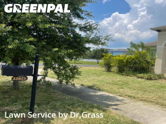 Lawn Cutting nearby Wesley Chapel, FL, 
