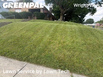 Yard Cutting nearby Dayton, OH, 