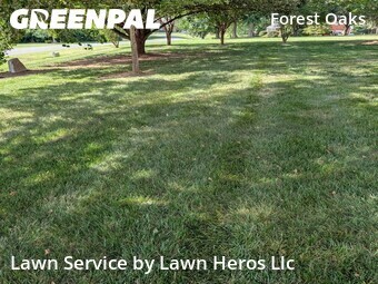 Grass Cutting nearby Greensboro, NC, 