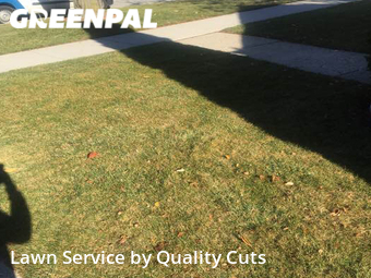 Yard Cutting nearby Eastpointe, MI, 