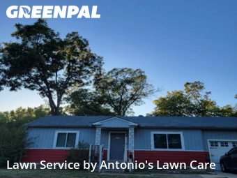 Lawn Care Servicein Irving,75060,Grass Cut by Antonio's Lawn Care, work completed in Nov , 2025