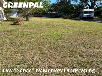Grass Cut nearby St. Petersburg, FL, 
