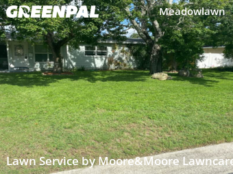 Lawn Cut nearby St. Petersburg, FL, 