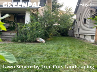 Yard Cutting nearby Columbus, OH, 