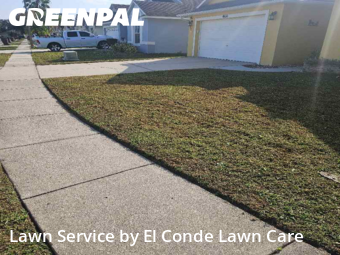 Grass Cut nearby Kissimmee, FL, 