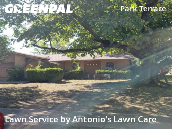 Garden Trimming in Carrollton, 75006, Yard Mowing by Antonio's Lawn Care, work completed in Oct , 2025