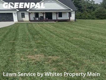 Lawn Care Service nearby Greenback, TN, 