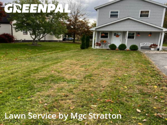 Grass Care in Brunswick, 44212, Yard Management by Mgc Stratton, work completed in Nov , 2025