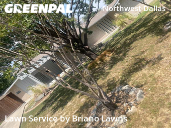 Lawn Care Service nearby Dallas, TX, 