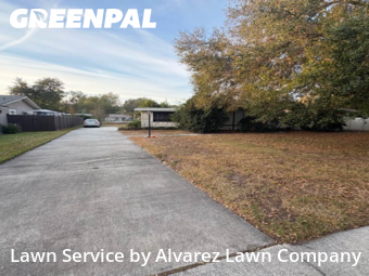 Yard Cuttingin Winter Park,32792,Lawn Care by Alvarez Lawn Company, work completed in Feb , 2026