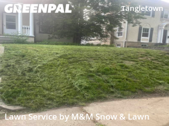 Yard Mowing nearby Minneapolis, MN, 