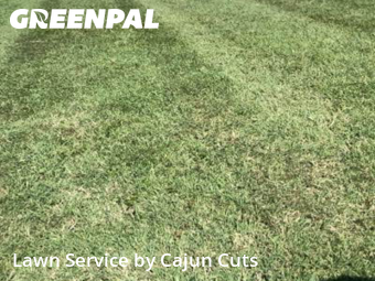 Lawn Care Service nearby Murfreesboro, TN, 