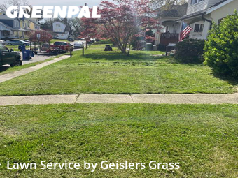 Grass Cut nearby Baltimore, MD, 