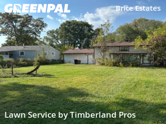 Backyard Mowing in Reynoldsburg, 43068, Yard Mowing by Timberland Pros, work completed in Oct , 2025