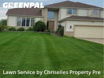 Yard Management in Plymouth, 55446, Lawn Maintenance by Chriselles Property Pre, work completed in Nov , 2025