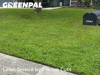 Lawn Cut nearby Bradenton, FL, 