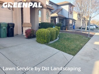 Lawn Maintenance in Elk Grove, 95757, Yard Cutting by Dst Landscaping, work completed in 29 Jan, 2026 