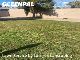 Lawn Service nearby Albuquerque, NM, 