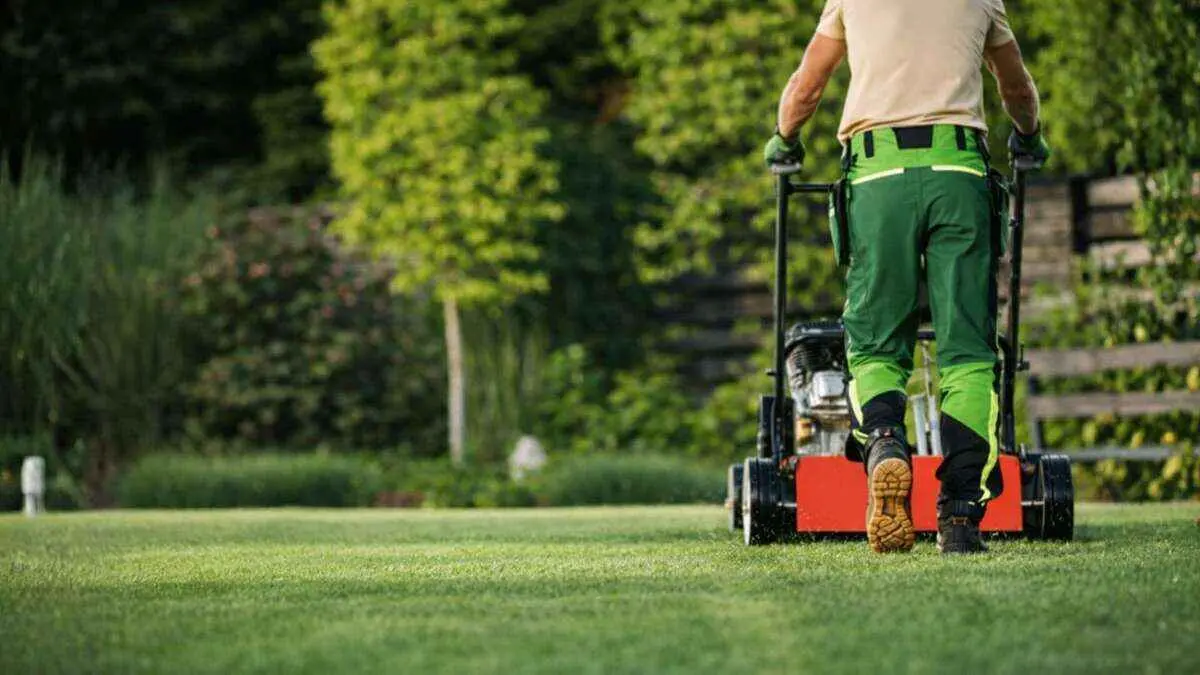  How to Choose the Best Lawn Care Company in Austin in 2026 By Greenpal