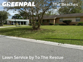 Grass Cutting nearby Jacksonville Beach, FL, 