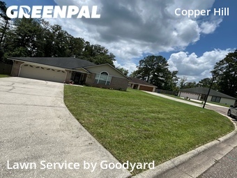 Grass Cutting nearby Jacksonville, FL, 