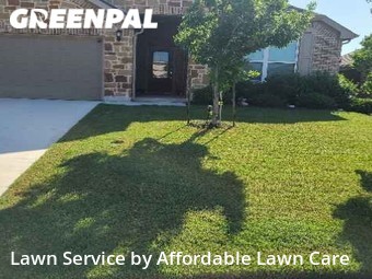Lawn Mow nearby New Braunfels, TX, 