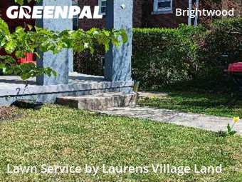 Lawn Cutting nearby Washington, VA, 